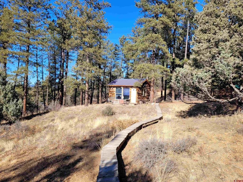 49 Quiet Court Pagosa Springs CO 81147