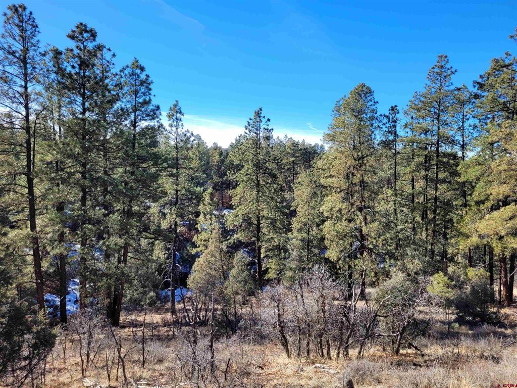 49 Quiet Court Pagosa Springs CO 81147