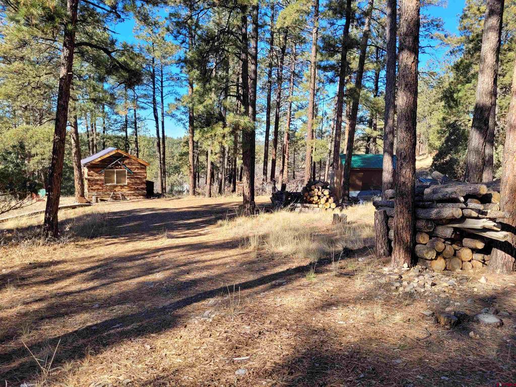 49 Quiet Court Pagosa Springs CO 81147