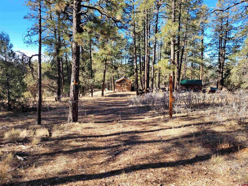 49 Quiet Court Pagosa Springs CO 81147