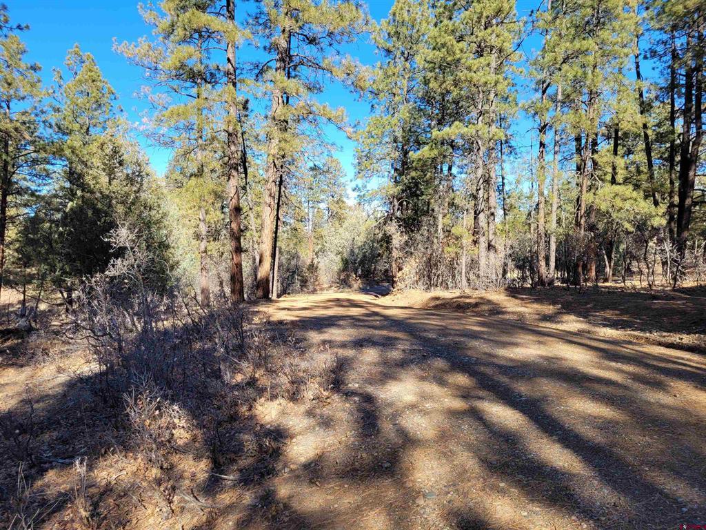 49 Quiet Court Pagosa Springs CO 81147