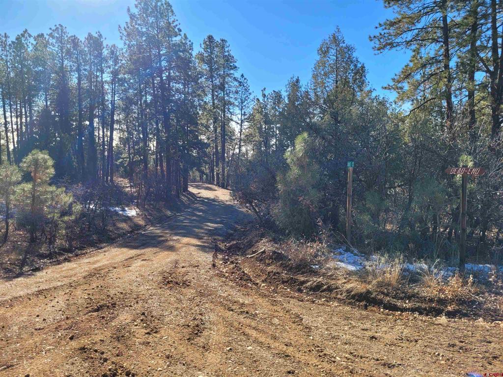 49 Quiet Court Pagosa Springs CO 81147