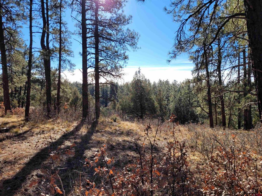 49 Quiet Court Pagosa Springs CO 81147