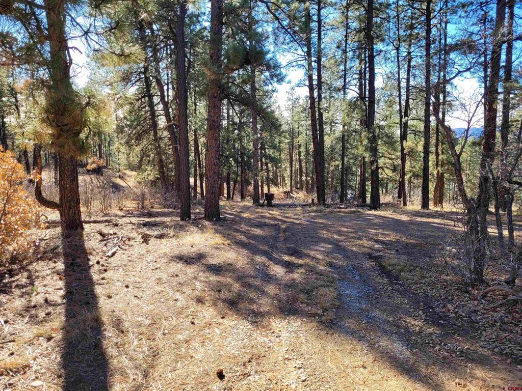 49 Quiet Court Pagosa Springs CO 81147