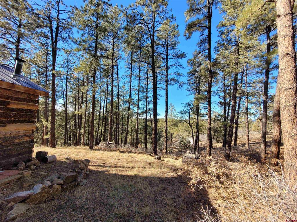 49 Quiet Court Pagosa Springs CO 81147