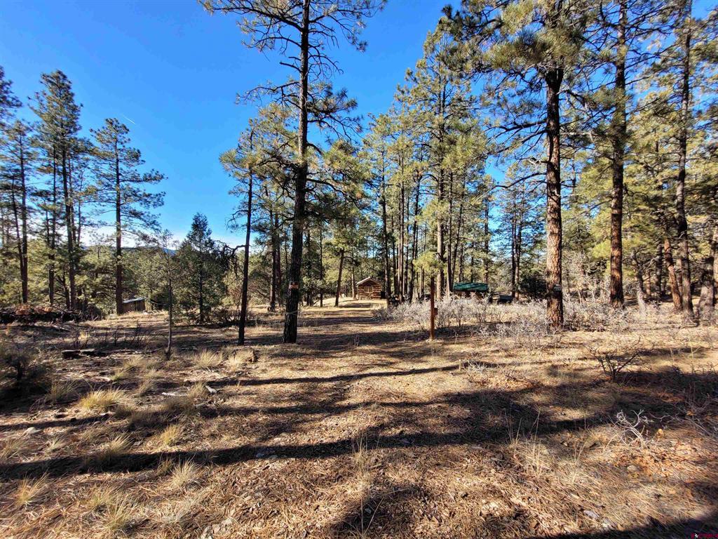 49 Quiet Court Pagosa Springs CO 81147