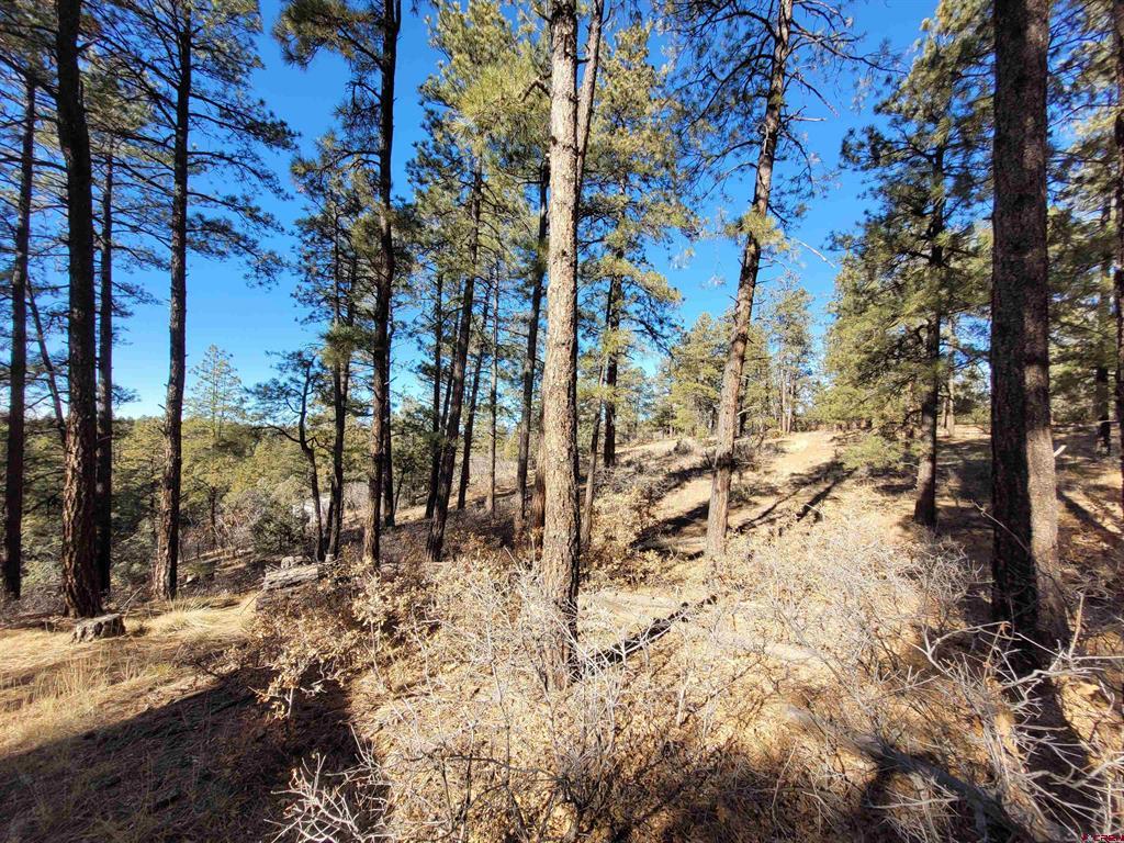 49 Quiet Court Pagosa Springs CO 81147