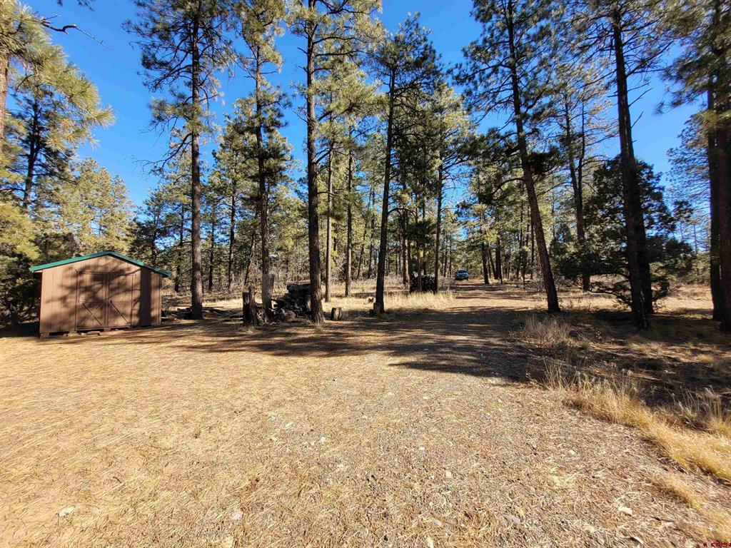 49 Quiet Court Pagosa Springs CO 81147
