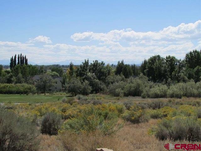 Lot 23 Eagle Heights Montrose CO 81401