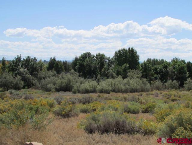 Lot 23 Eagle Heights Montrose CO 81401
