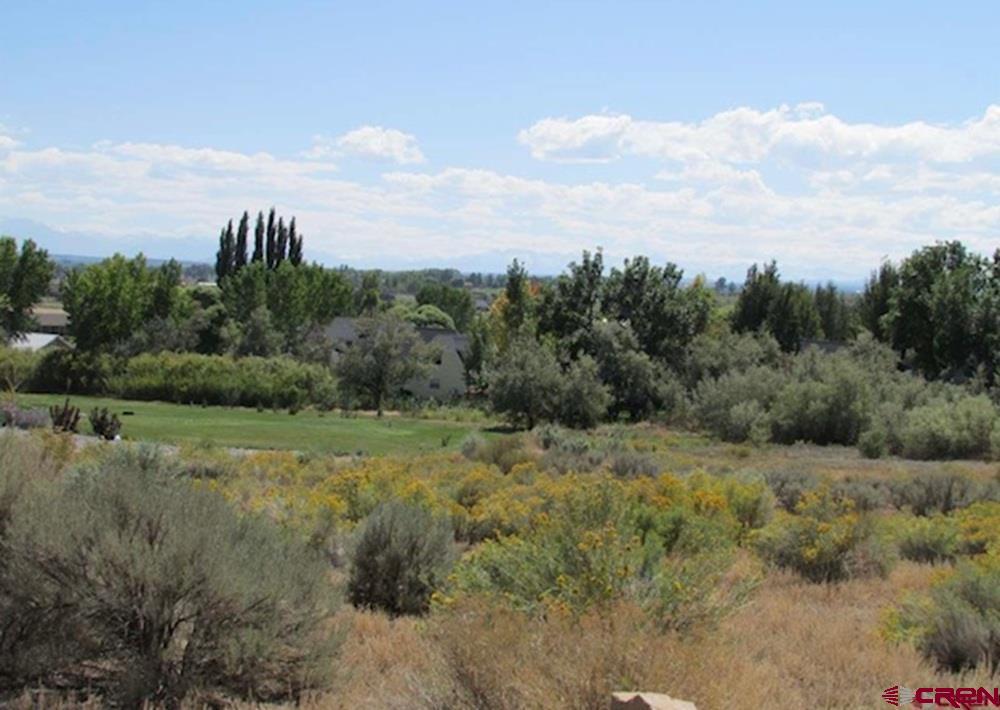 Lot 23 Eagle Heights Montrose CO 81401