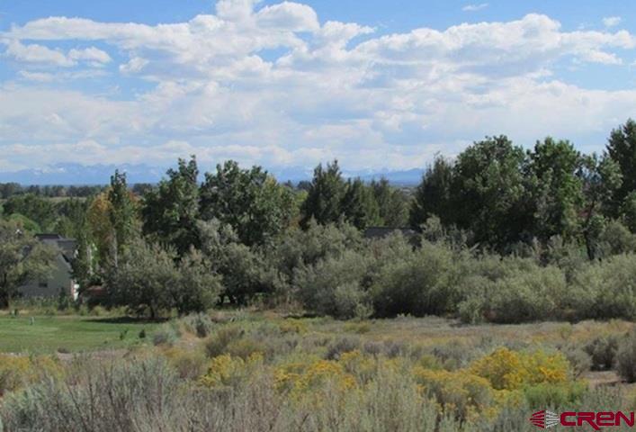 Lot 23 Eagle Heights Montrose CO 81401