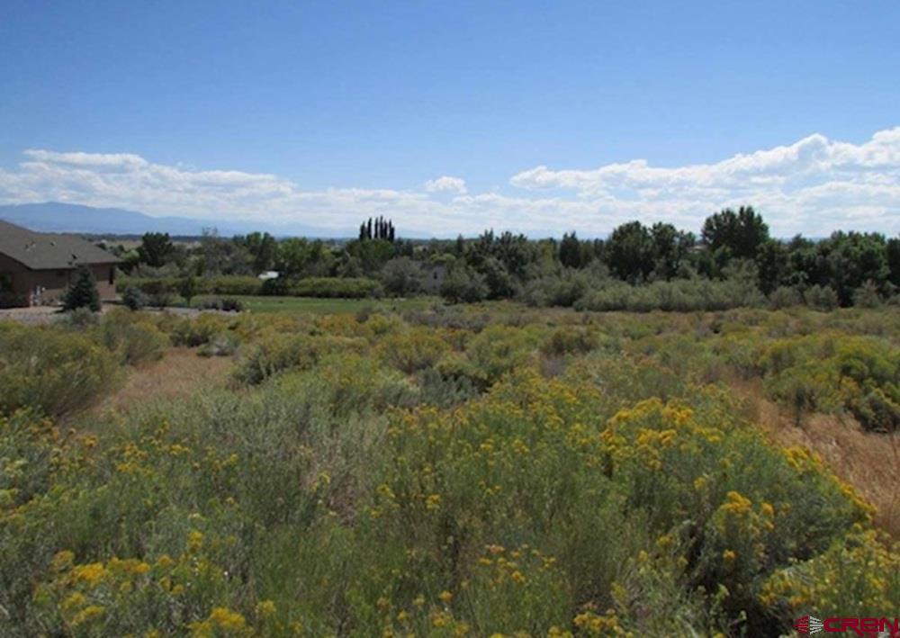 Lot 23 Eagle Heights Montrose CO 81401