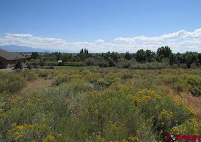 Lot 23 Eagle Heights Montrose CO 81401