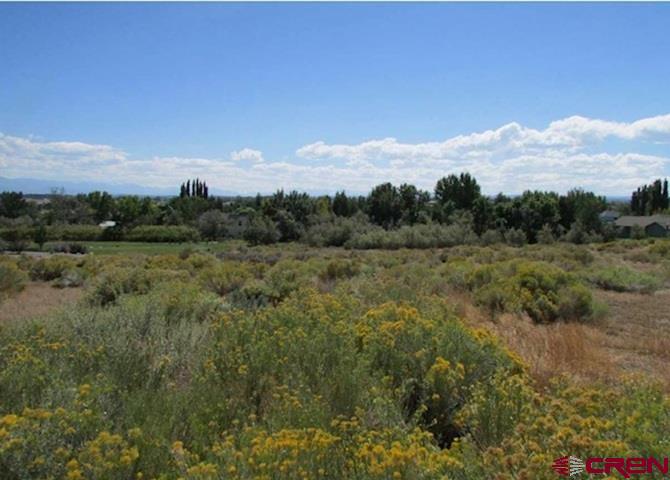 Lot 23 Eagle Heights Montrose CO 81401