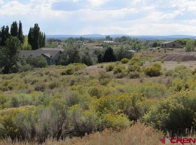 Lot 23 Eagle Heights Montrose CO 81401