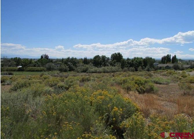 Lot 23 Eagle Heights Montrose CO 81401