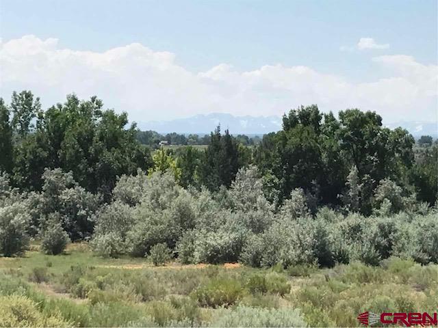 Lot 23 Eagle Heights Montrose CO 81401