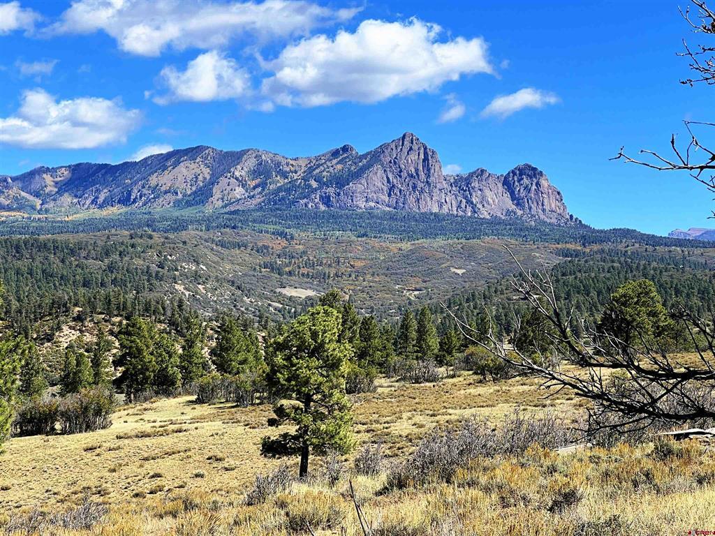 362 Mary's Court Pagosa Springs CO 81128