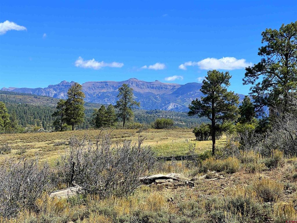 362 Mary's Court Pagosa Springs CO 81128
