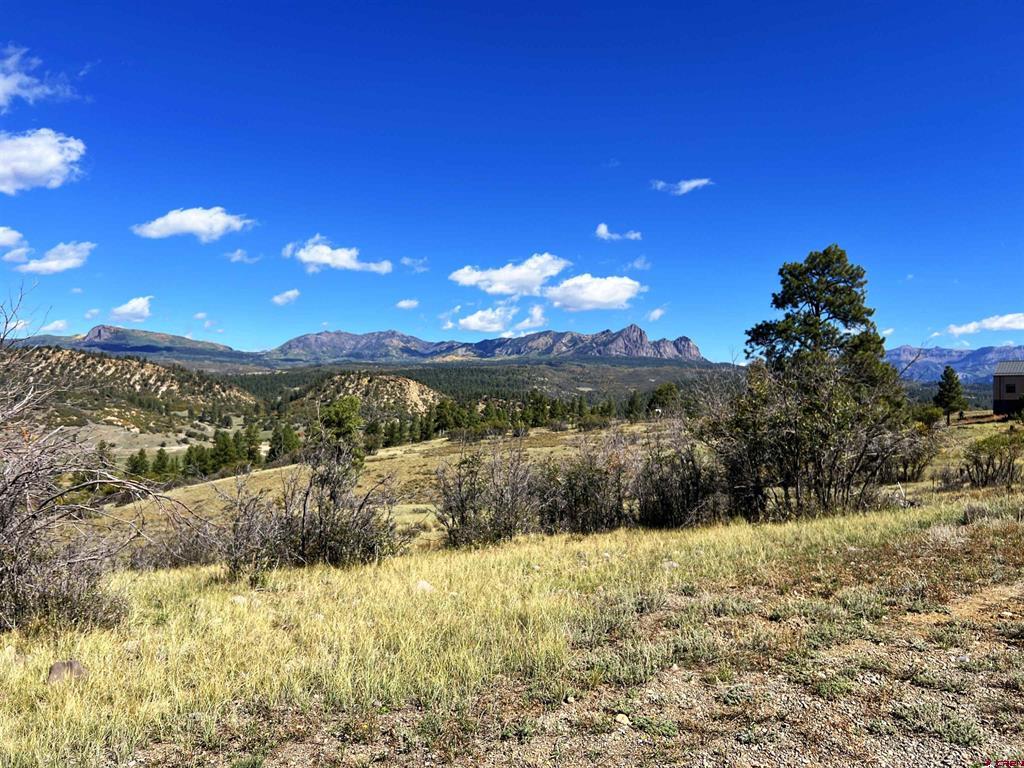 362 Mary's Court Pagosa Springs CO 81128