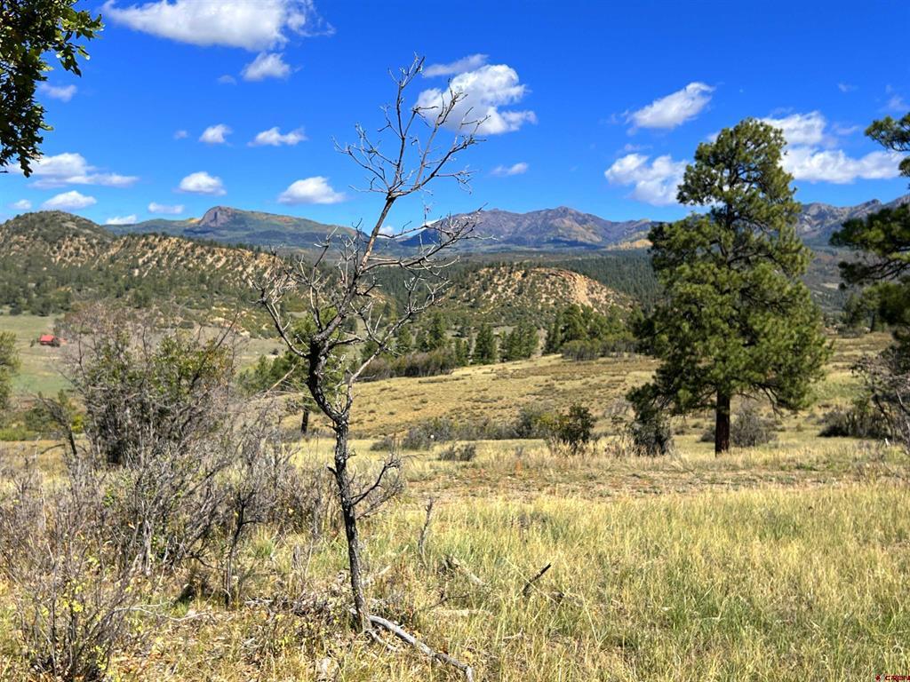 362 Mary's Court Pagosa Springs CO 81128