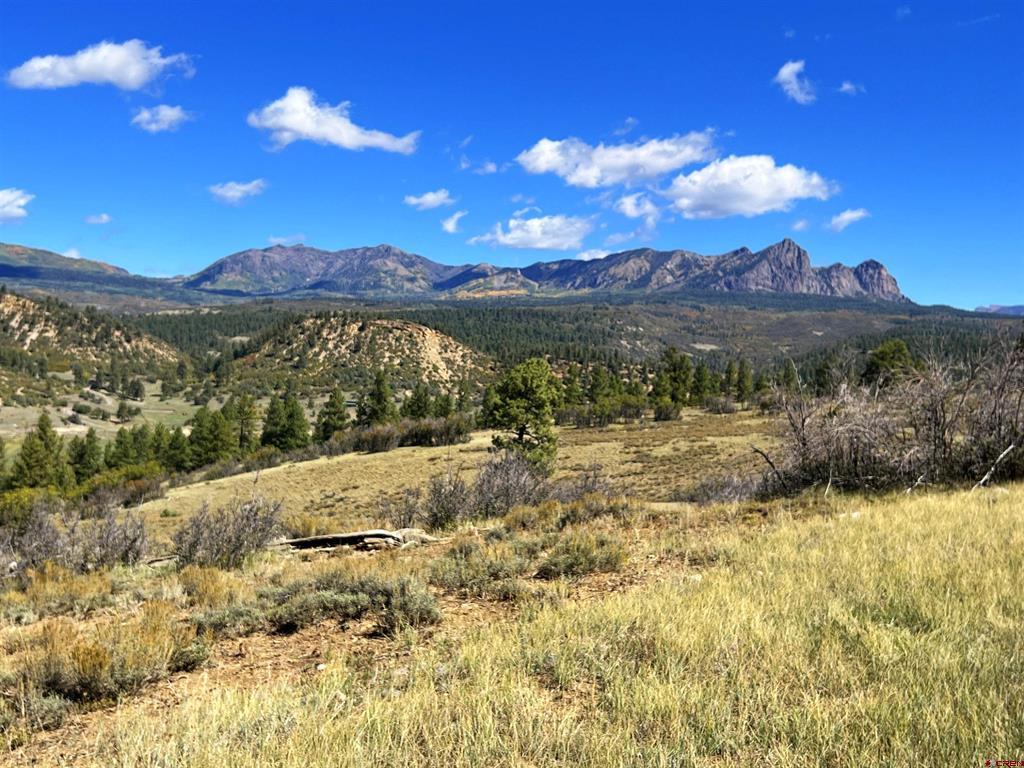 362 Mary's Court Pagosa Springs CO 81128