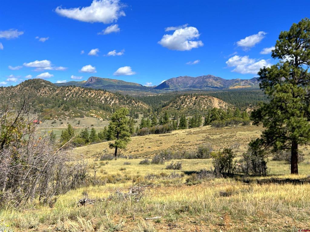 362 Mary's Court Pagosa Springs CO 81128