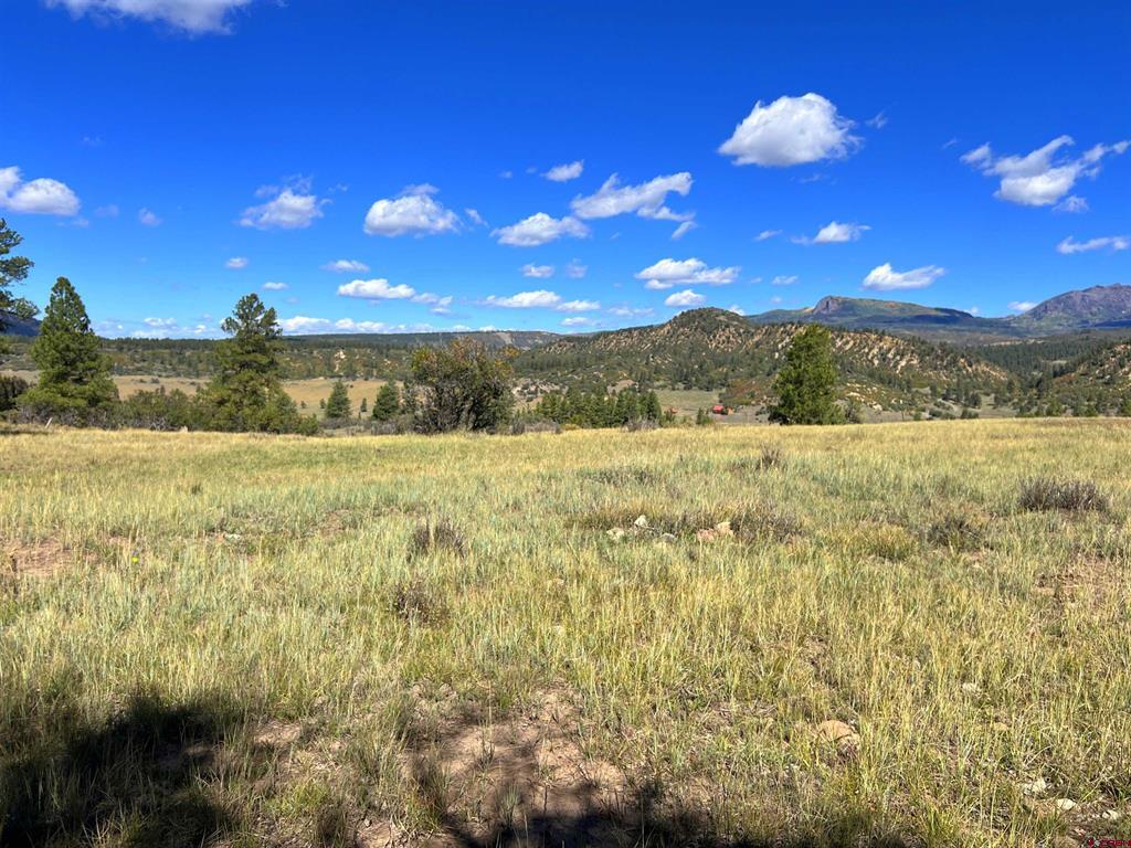 362 Mary's Court Pagosa Springs CO 81128