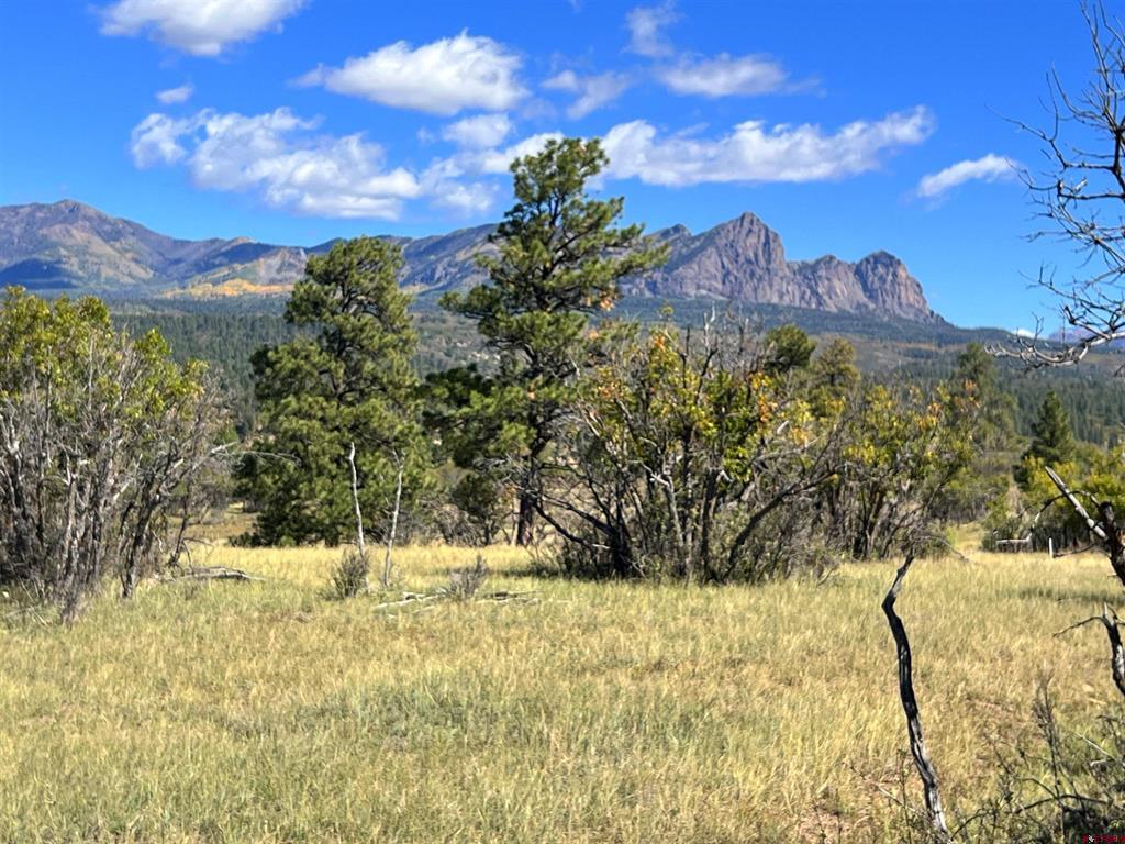362 Mary's Court Pagosa Springs CO 81128
