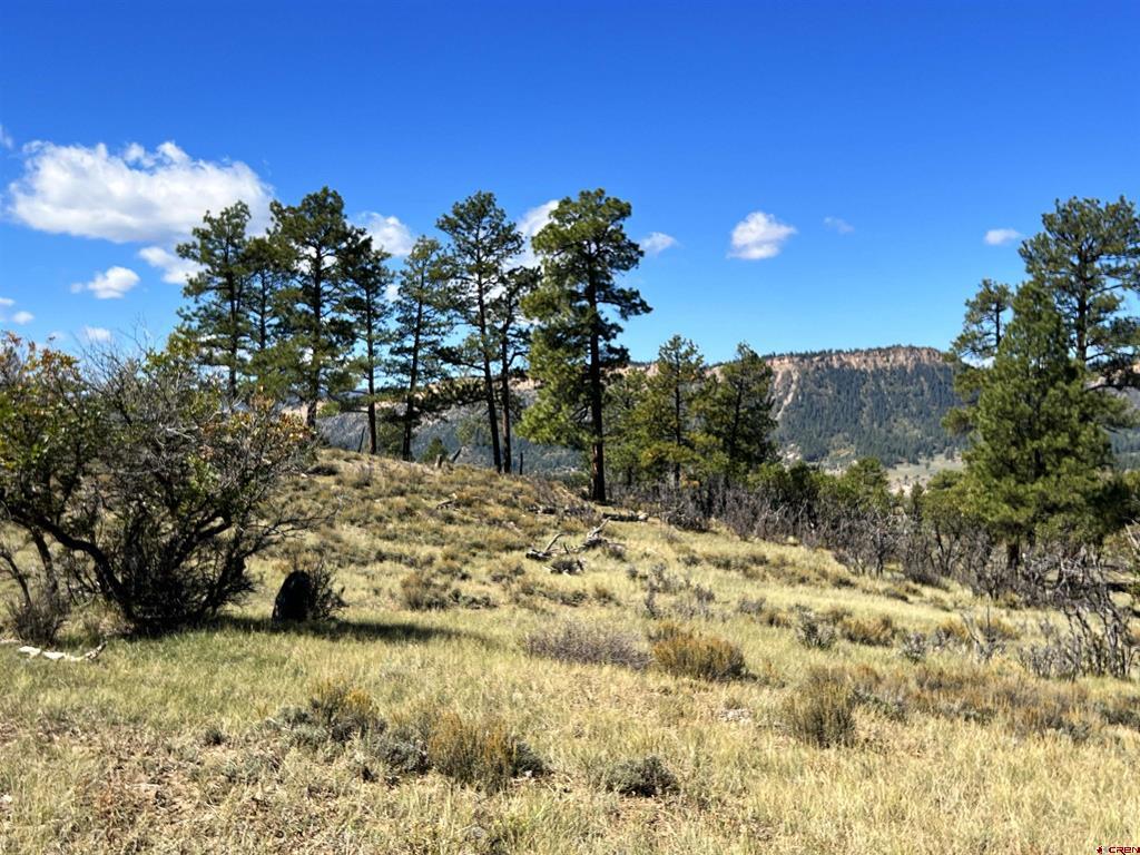 362 Mary's Court Pagosa Springs CO 81128