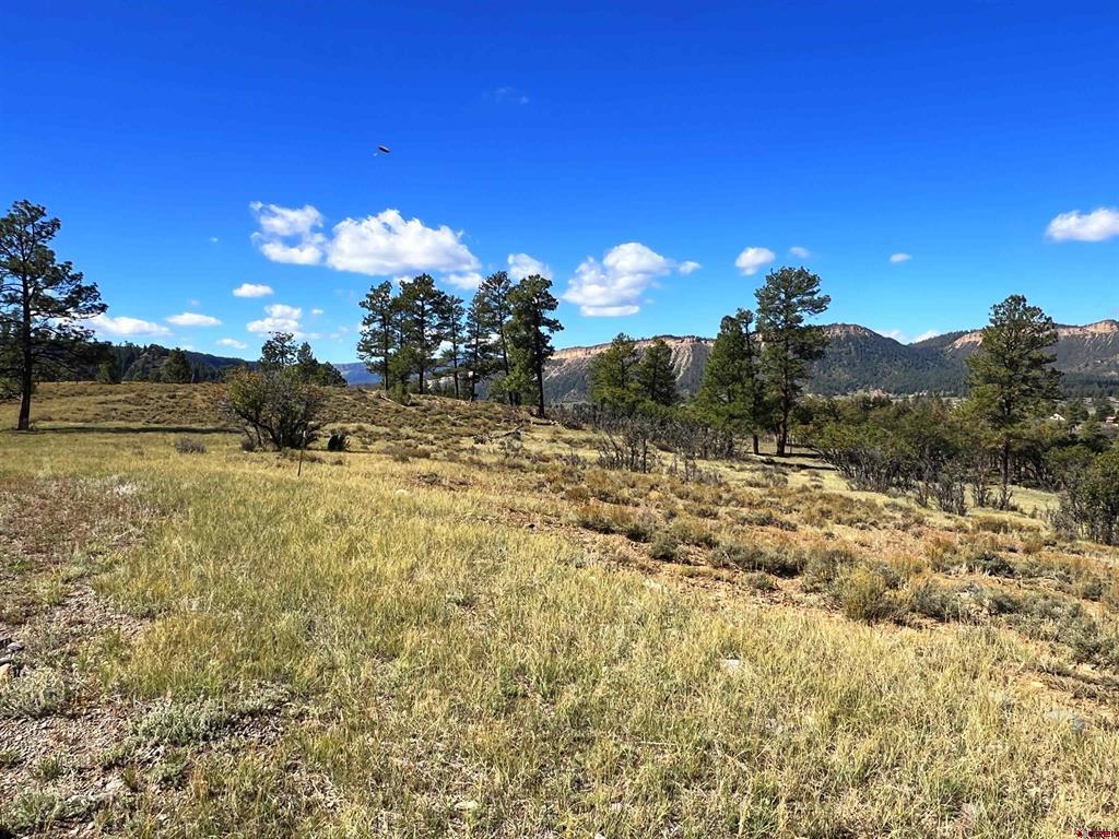 362 Mary's Court Pagosa Springs CO 81128