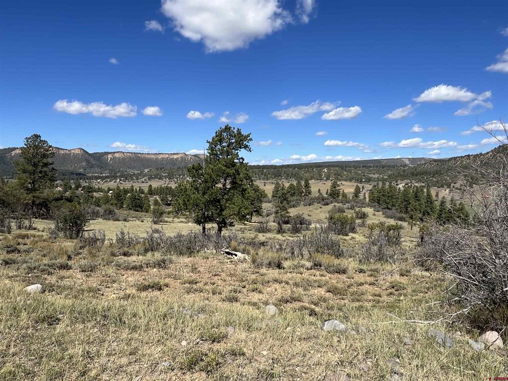 362 Mary's Court Pagosa Springs CO 81128