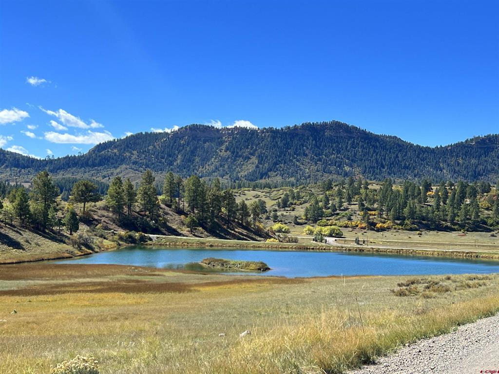 362 Mary's Court Pagosa Springs CO 81128