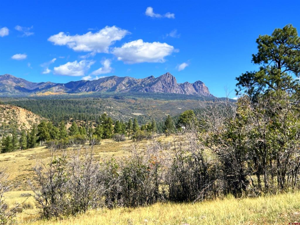 362 Mary's Court Pagosa Springs CO 81128