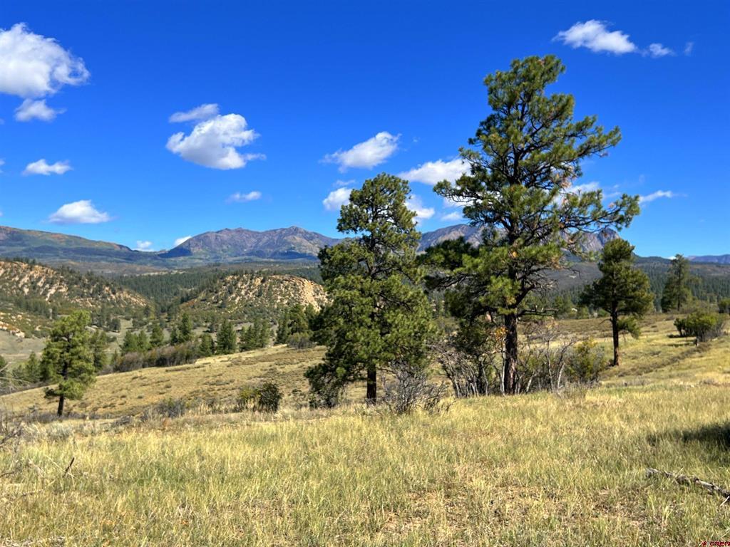 362 Mary's Court Pagosa Springs CO 81128