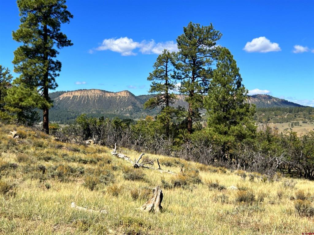 362 Mary's Court Pagosa Springs CO 81128