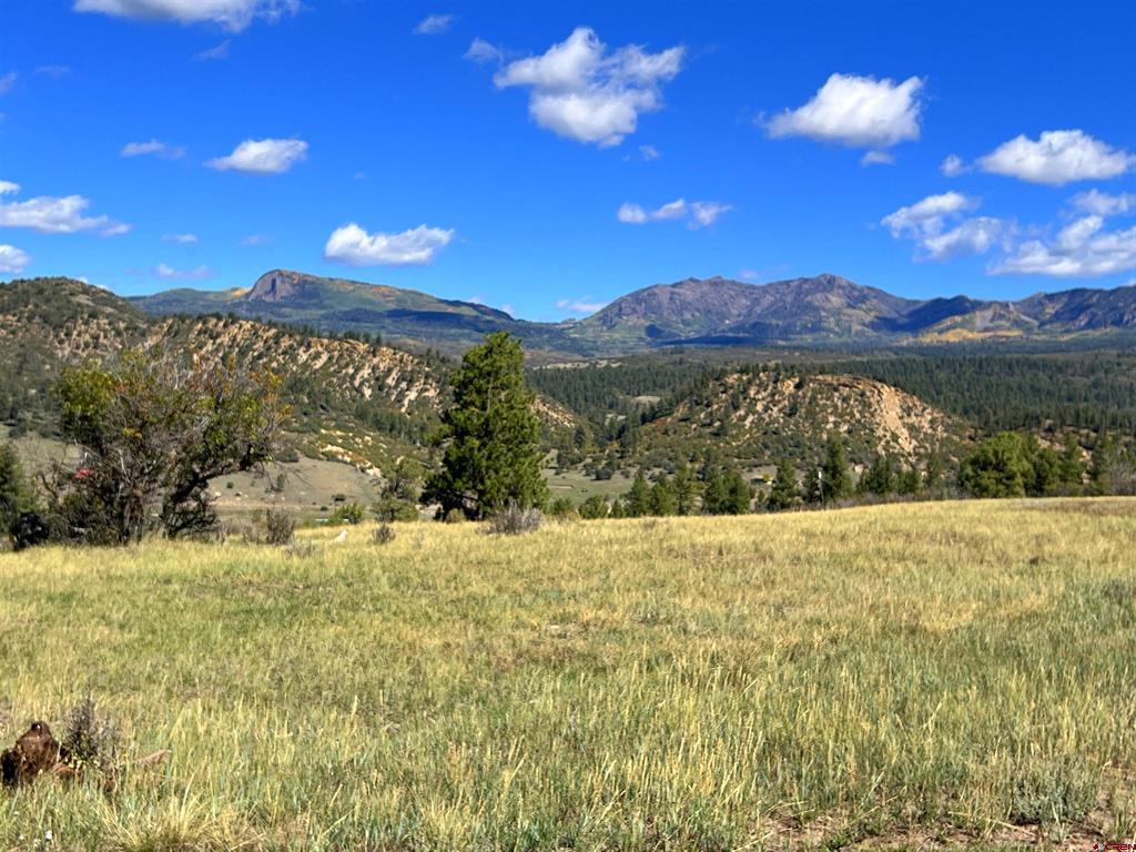 362 Mary's Court Pagosa Springs CO 81128