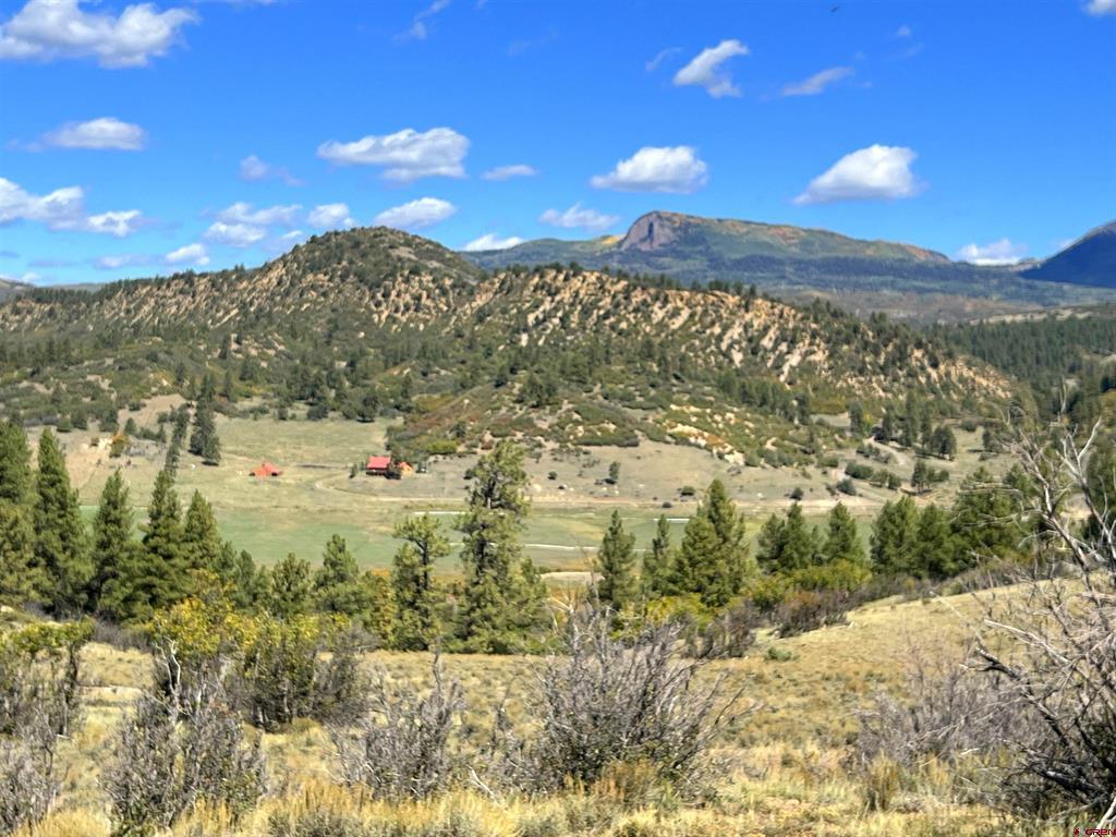 362 Mary's Court Pagosa Springs CO 81128