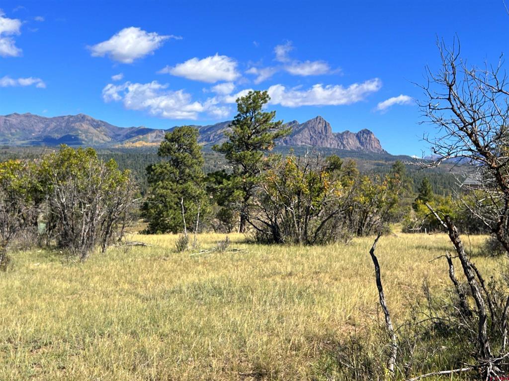 362 Mary's Court Pagosa Springs CO 81128