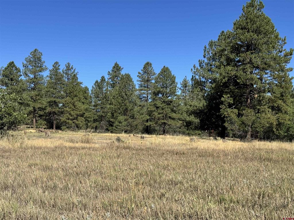 Pagosa Springs CO, 139 Coronado