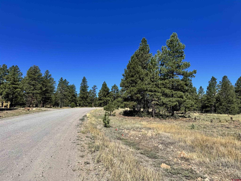 139 Coronado Circle Pagosa Springs CO 81147