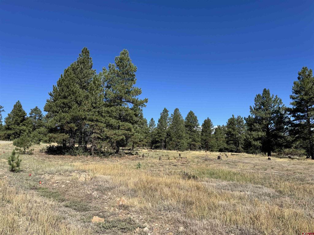 139 Coronado Circle Pagosa Springs CO 81147