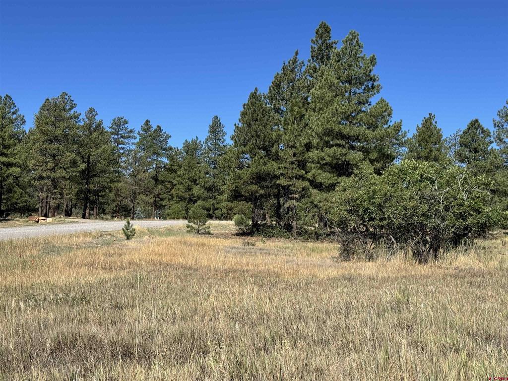 139 Coronado Circle Pagosa Springs CO 81147