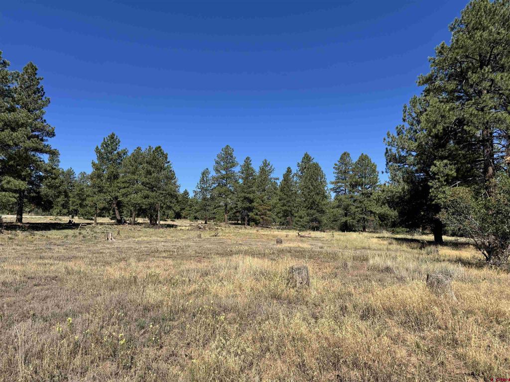 139 Coronado Circle Pagosa Springs CO 81147