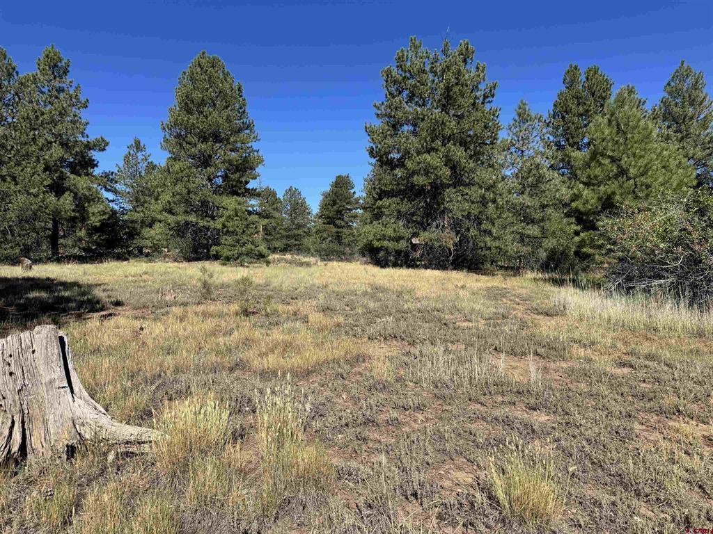 139 Coronado Circle Pagosa Springs CO 81147