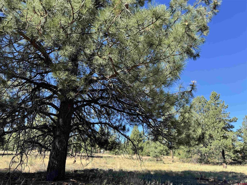 139 Coronado Circle Pagosa Springs CO 81147