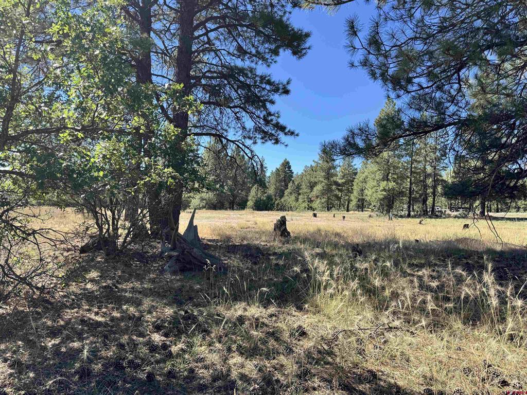 139 Coronado Circle Pagosa Springs CO 81147