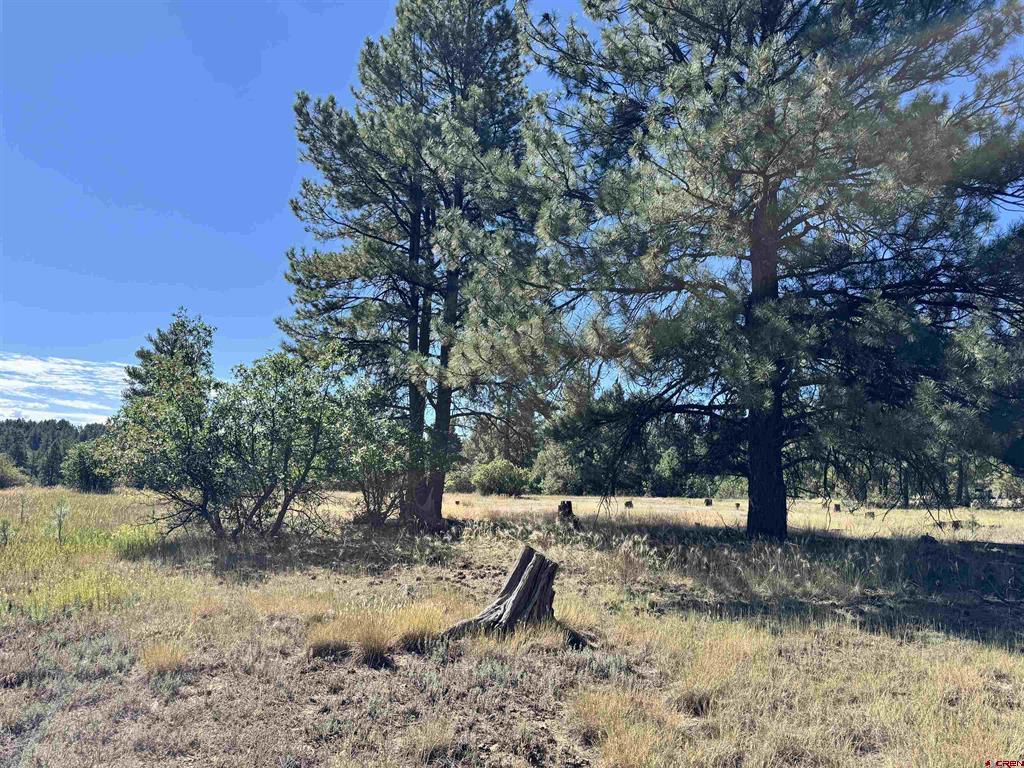 139 Coronado Circle Pagosa Springs CO 81147
