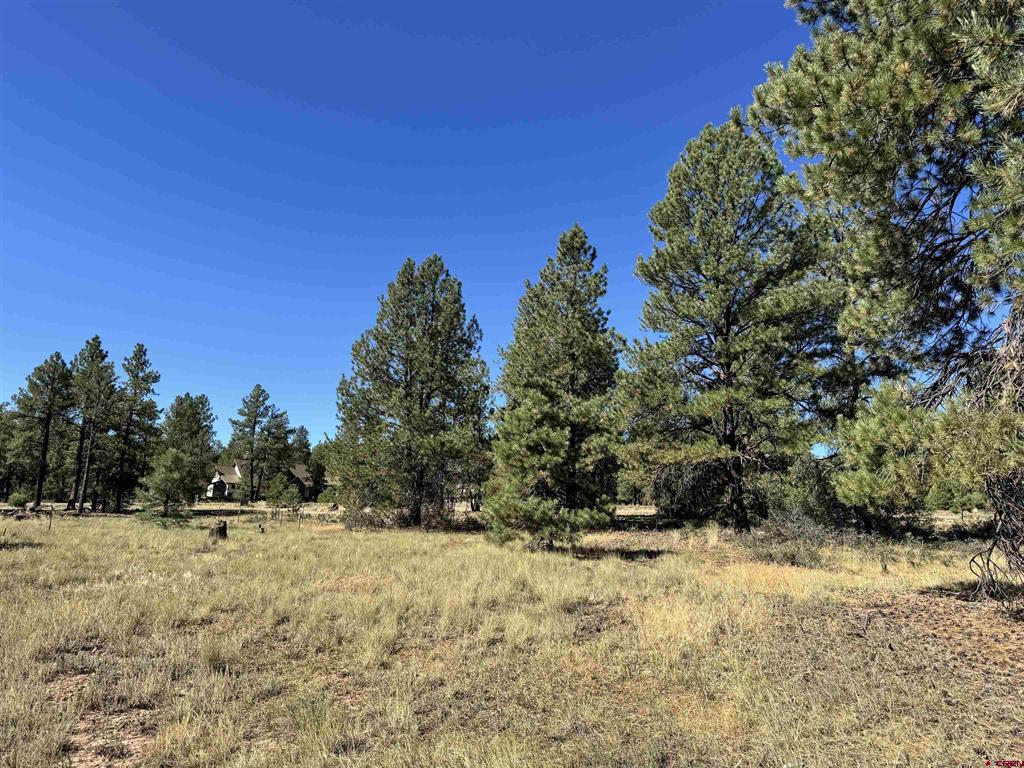 139 Coronado Circle Pagosa Springs CO 81147